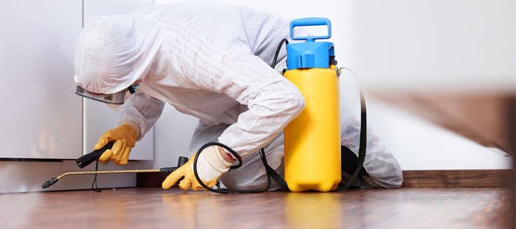 certified pest control