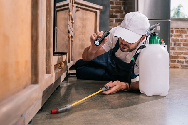 pest control service Winnipeg